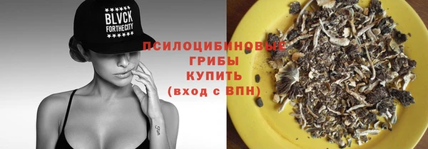 дмт Бронницы